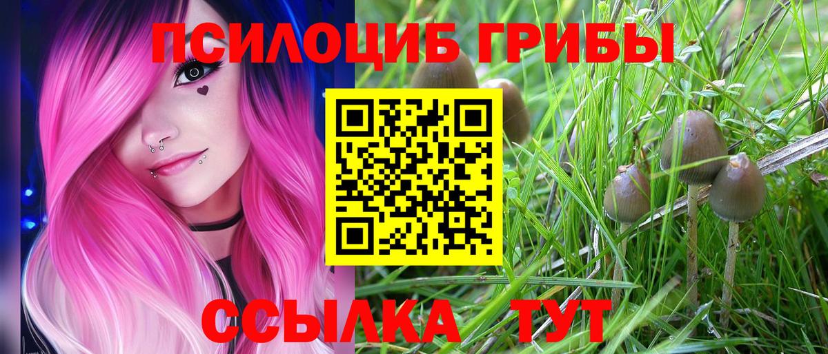 Галлюциногенные грибы прущие грибы  дарнет шоп  Псилоцибиновые грибы Magic Shrooms  Вязники  Вход с VPN 