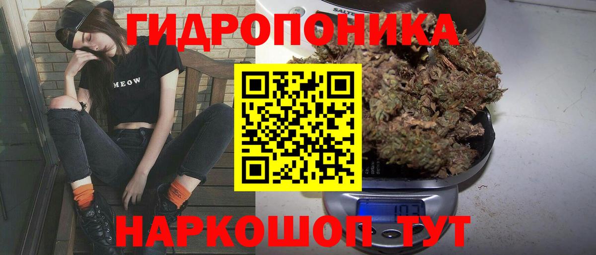 Канабис сатива  Марихуана тримм  Бошки марихуана гибрид  Вход с VPN  Марихуана марихуана  Вязники 